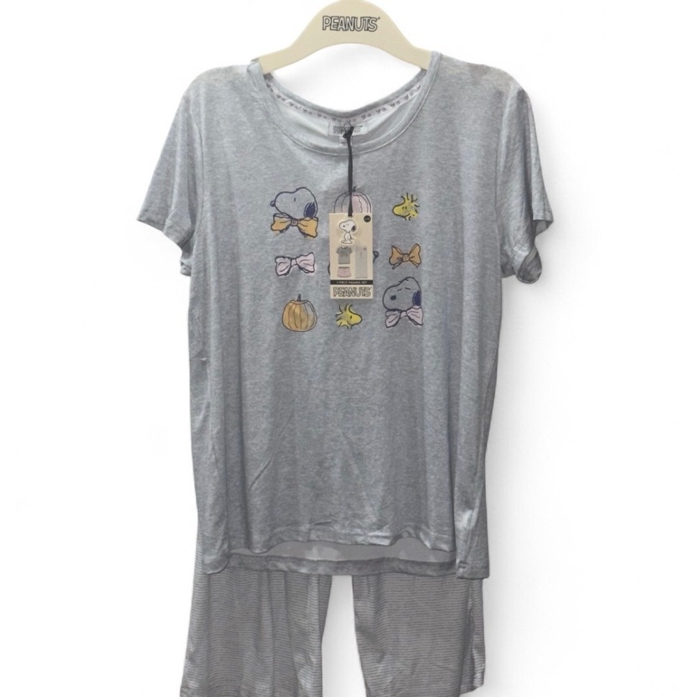 Peanuts Snoopy Woodstock 3 Piece Pajama Set Grey Pink Halloween Large NWT